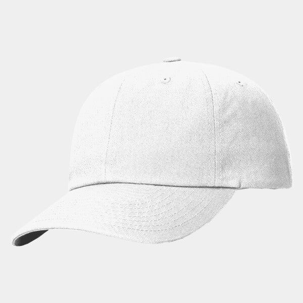 SUSTAINABLE ASHLAND DAD HAT