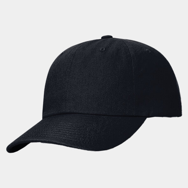 SUSTAINABLE ASHLAND DAD HAT